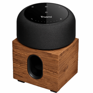 Swiss Chalet Oldwood 360° Surround Sound 100W Portable Bluetooth Speaker